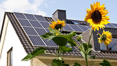 HEV-Schweiz-Sondersolarpreis